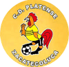 https://img.parturl.com/img/football/team/63b0933cc303927659846a4ed54b1522.png