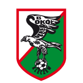 https://img.parturl.com/img/football/team/e6a8908dd206e2ea02d9803c82c60bba.png